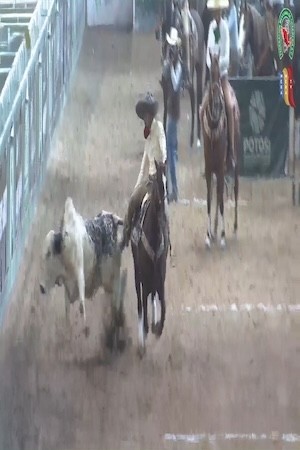 Final de Coleader...