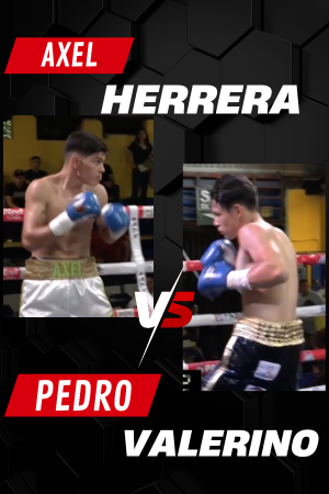 Pedro Valeriano V...